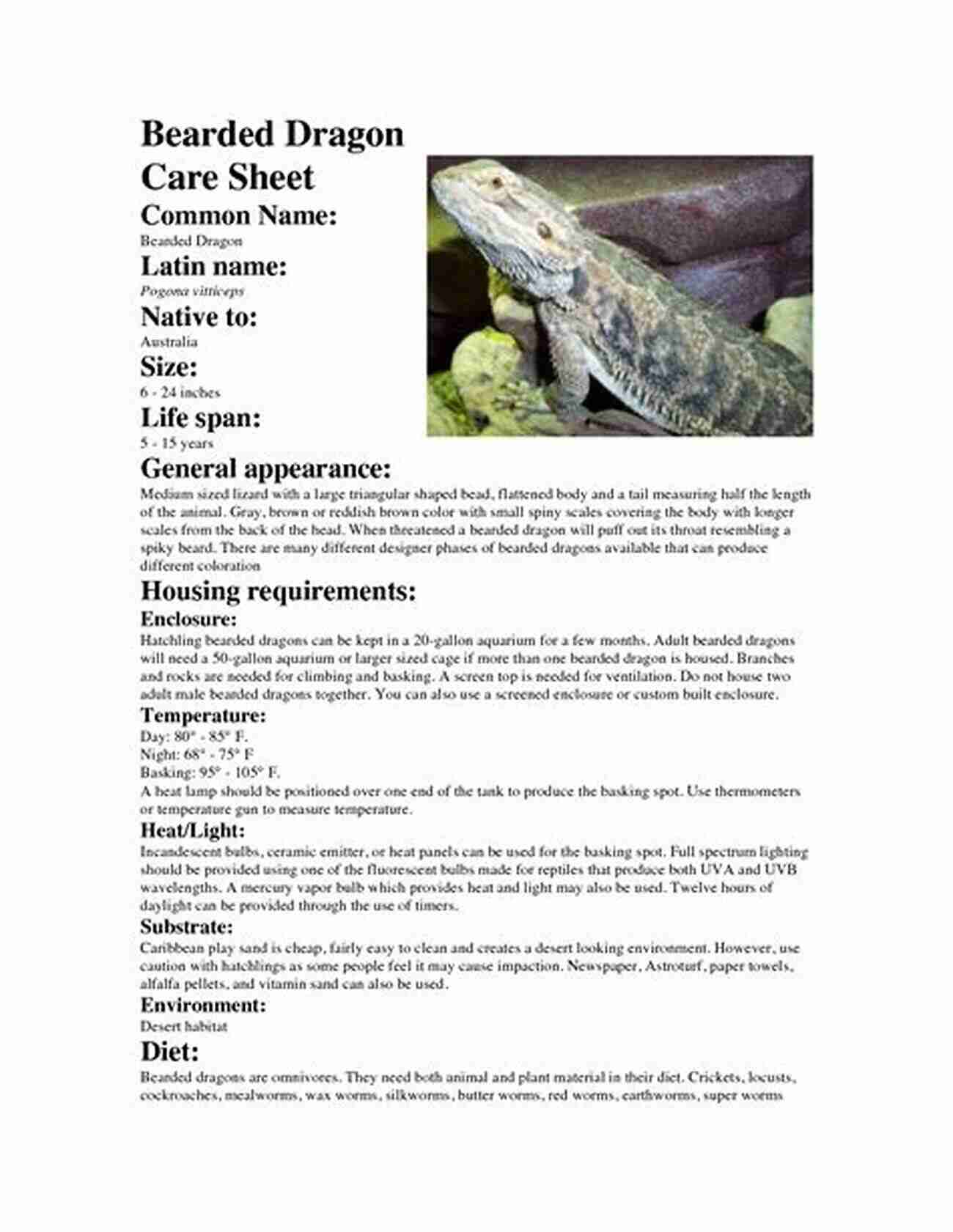 A Bearded Dragon The Bearded Dragon Care Manual: The Ultimate Care Guide Food List For Raising A Healthy Bearded Dragon