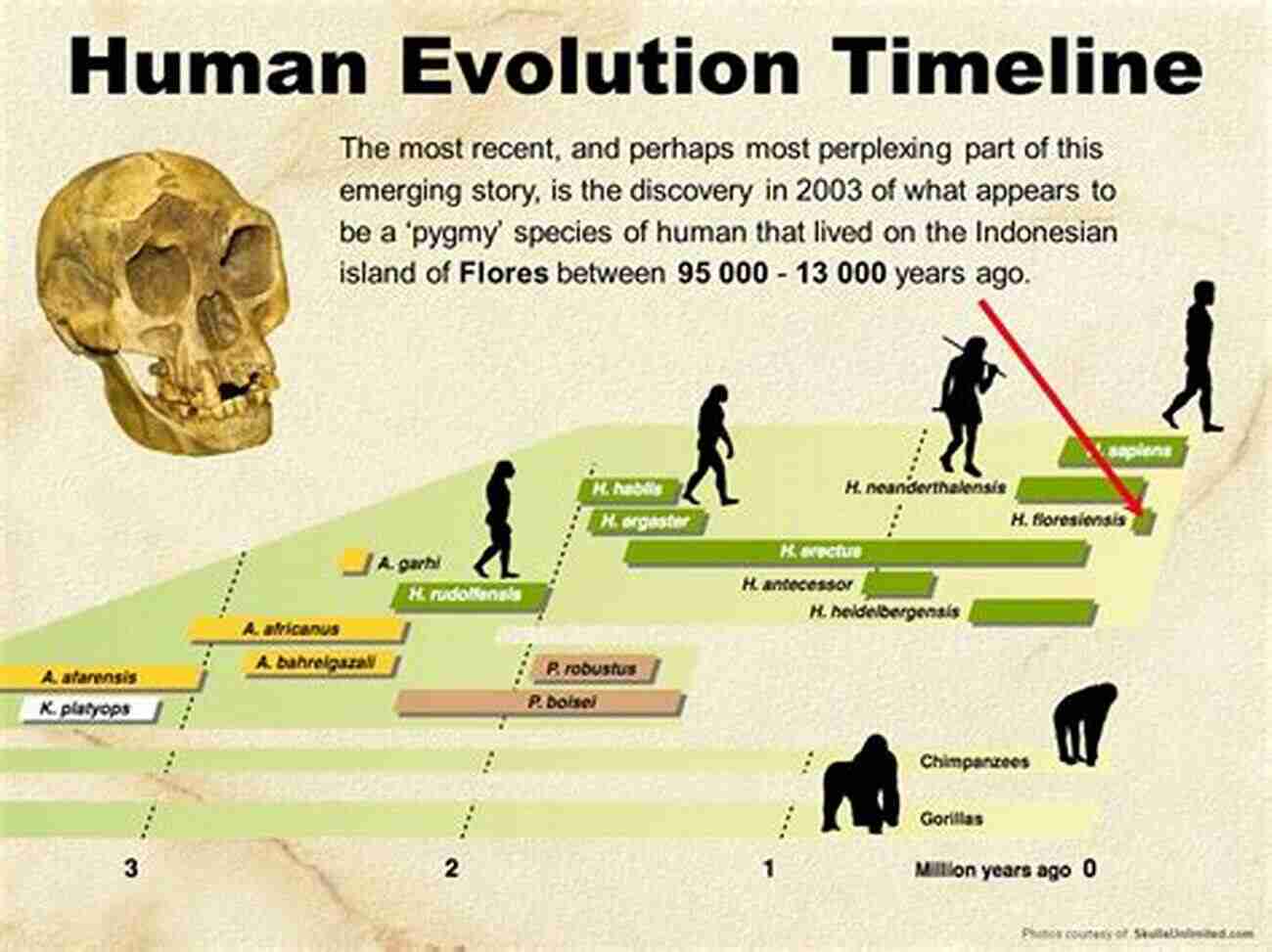 A Timeline Depicting The Colorful Evolution Of The Human Community Throughout History The Rise Of The West: A History Of The Human Community