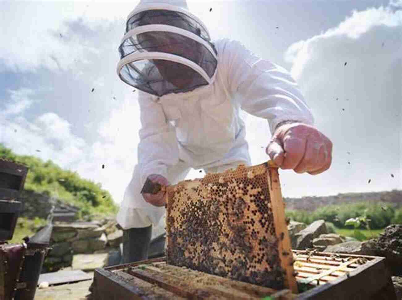 A Beekeeper Inspecting A Beehive First Time Beekeeping: An Absolute Beginner S Guide To Beekeeping A Step By Step Manual To Getting Started With Bees