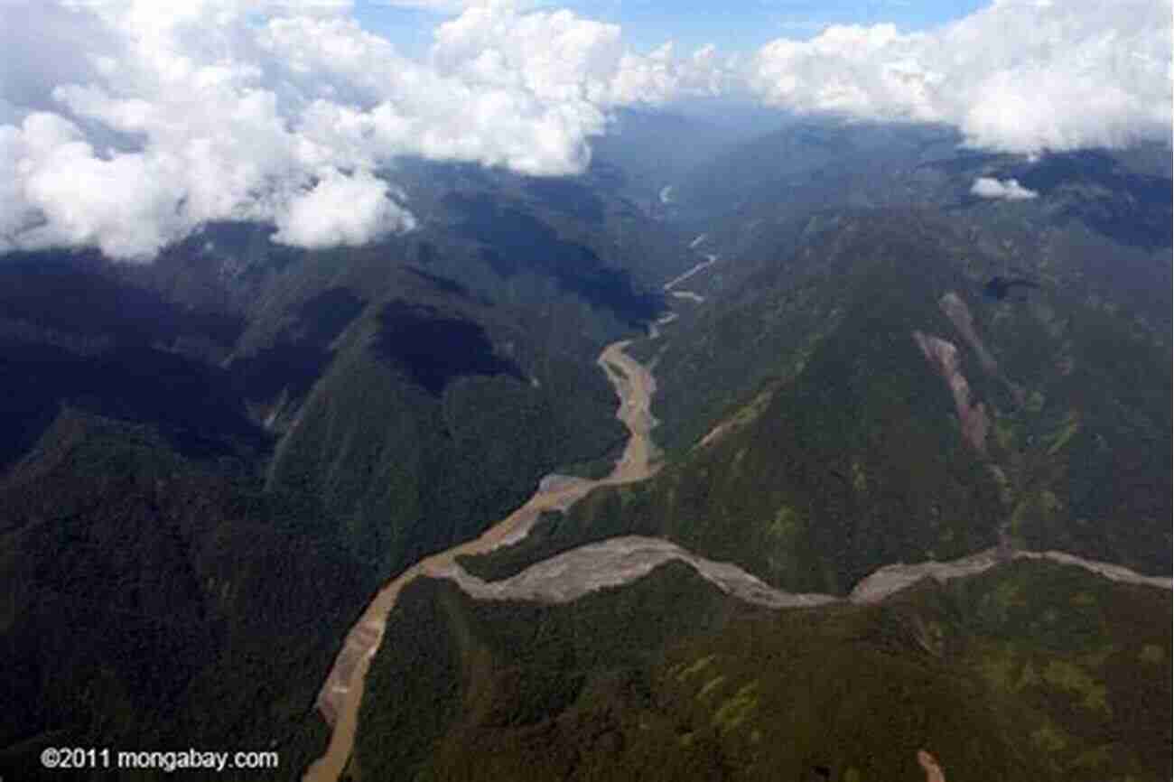 A Breathtaking View Of The Andes Mountains And The Lush Amazon Rainforest Along The Andes And Down The Amazon