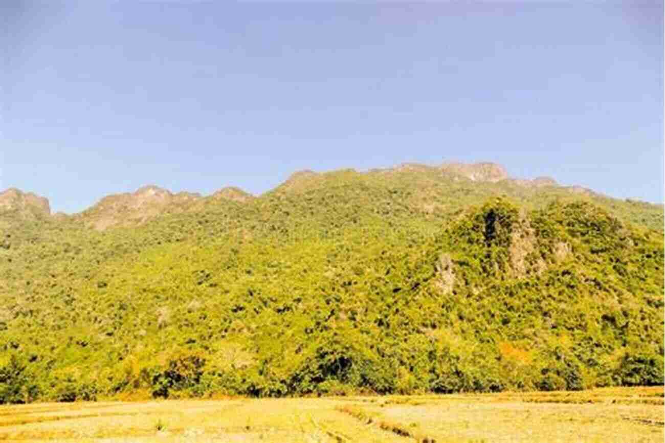 A Breathtaking View Of The Highest Peaks In Eastern America Covered In Lush Greenery And Surrounded By Clear Blue Skies Mount Mitchell And The Black Mountains: An Environmental History Of The Highest Peaks In Eastern America