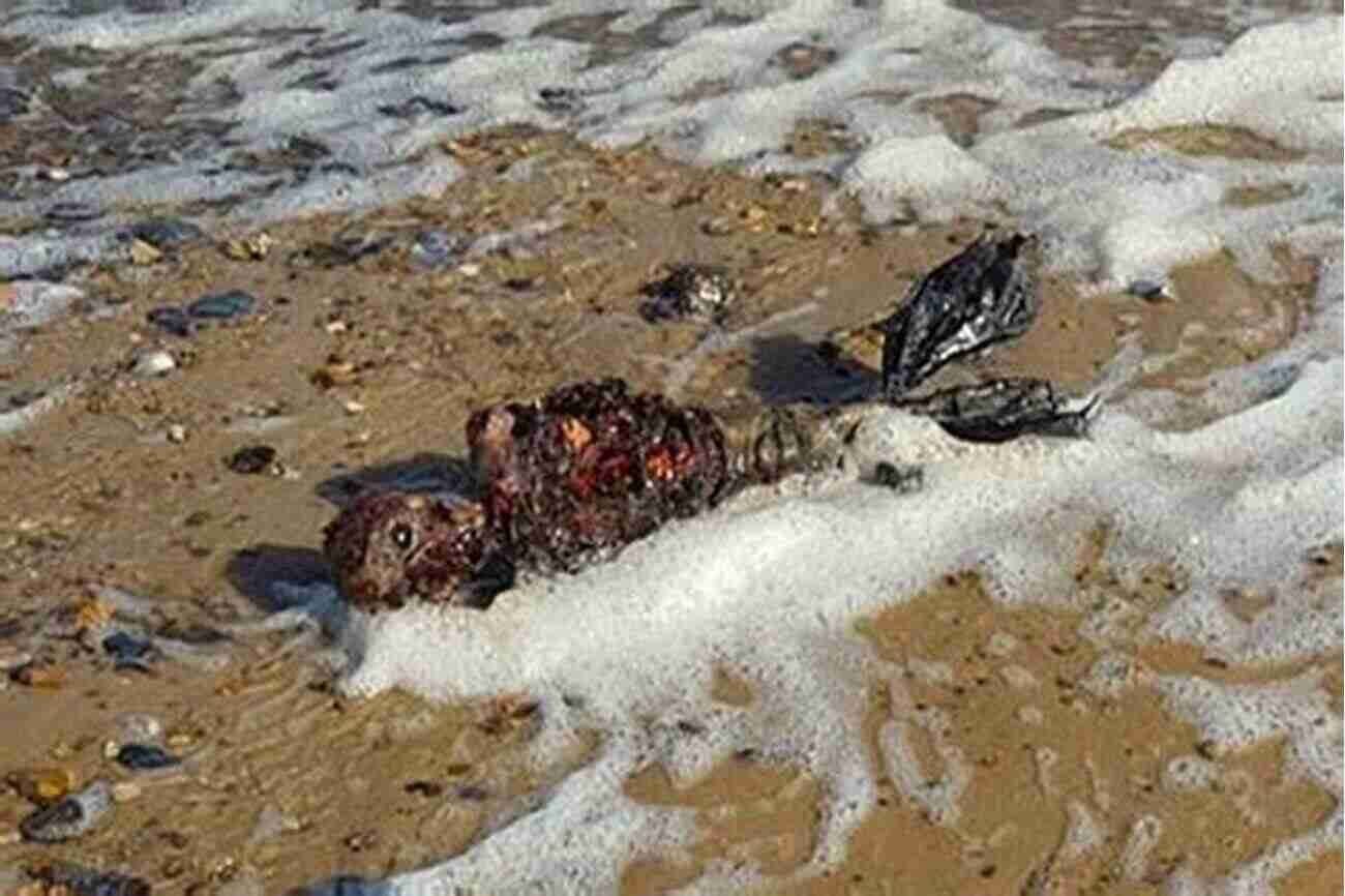 A Dead Body Washed Ashore In A Secluded Beach THE DEAD BODY AT THE BEACH