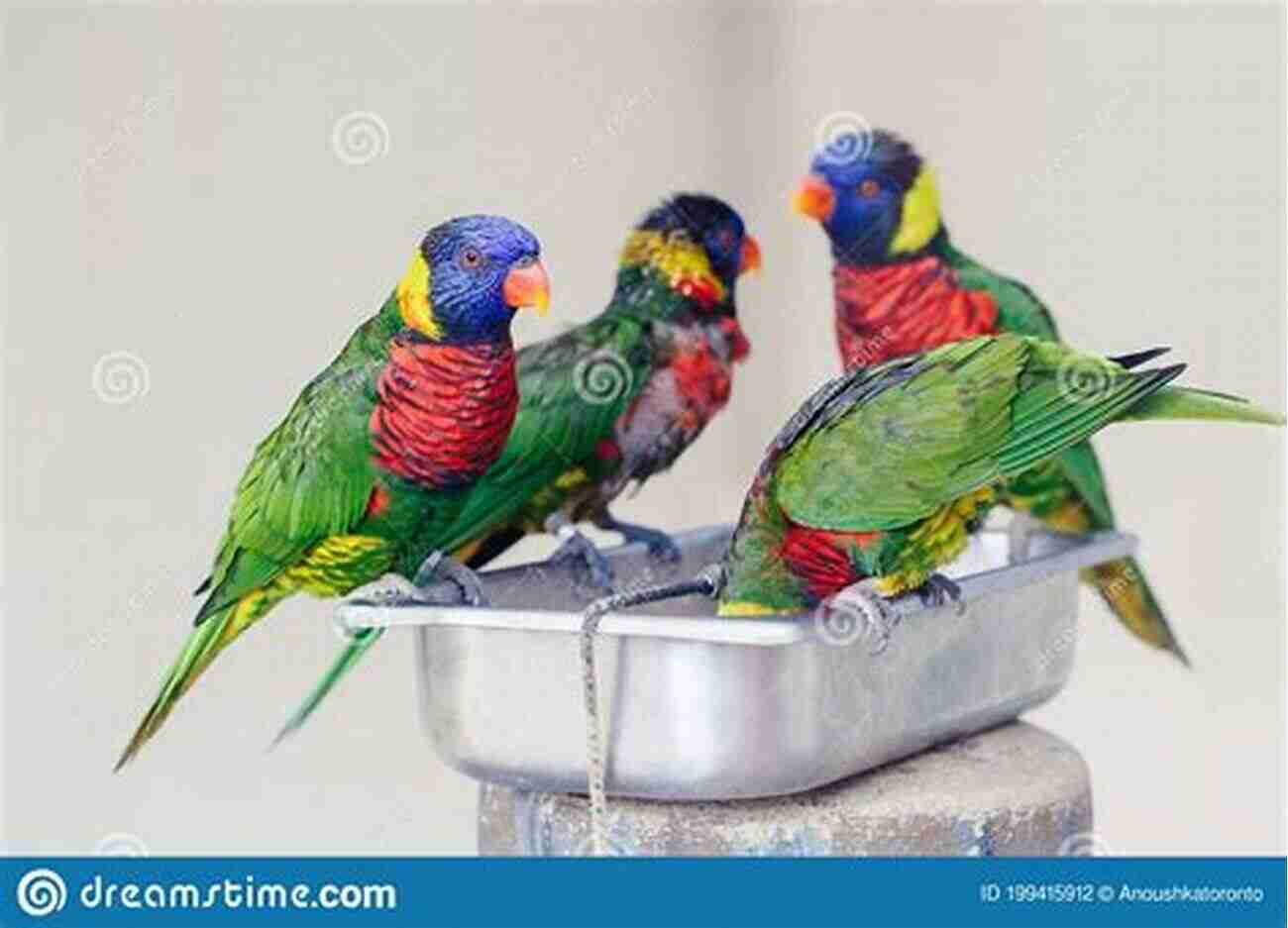 A Flock Of Colorful Lorikeets Eating Nectar From A Bottle PARROT FACTS Volume 1: Discover The World Of Parrots From All Around The World Over 100 Parrots In This Volume (Parrots Of Paradise)