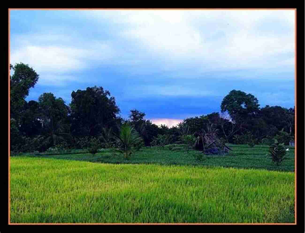 A Scenic View Of Lush Green Fields And Tall Trees Geckos: The Animal Answer Guide (The Animal Answer Guides: Q A For The Curious Naturalist)