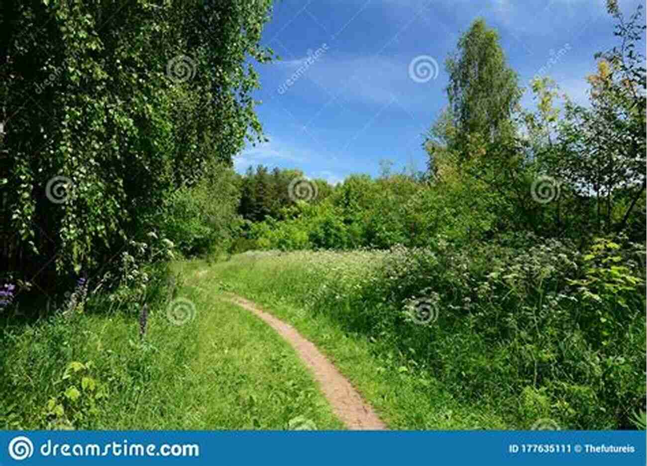 A Serene Countryside Painted By Scenery Jane Lordson A Winding Pathway Through A Blooming Meadow, Leading Towards A Quaint Cottage Nestled Beneath Towering Trees Scenery Jane Lordson