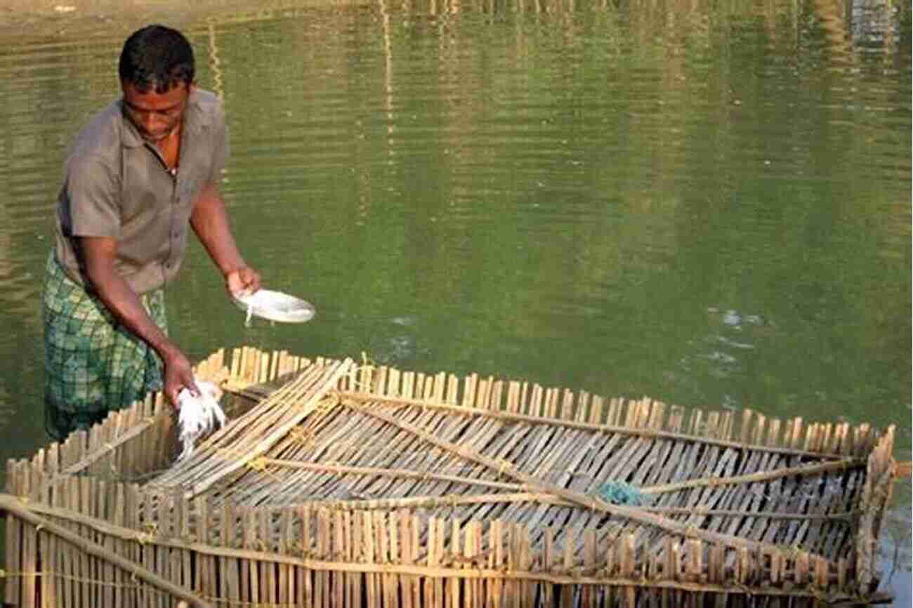 A Well Constructed Pond For Mud Crab Farming The Absolute Beginner S Guide To Mud Crab Farming