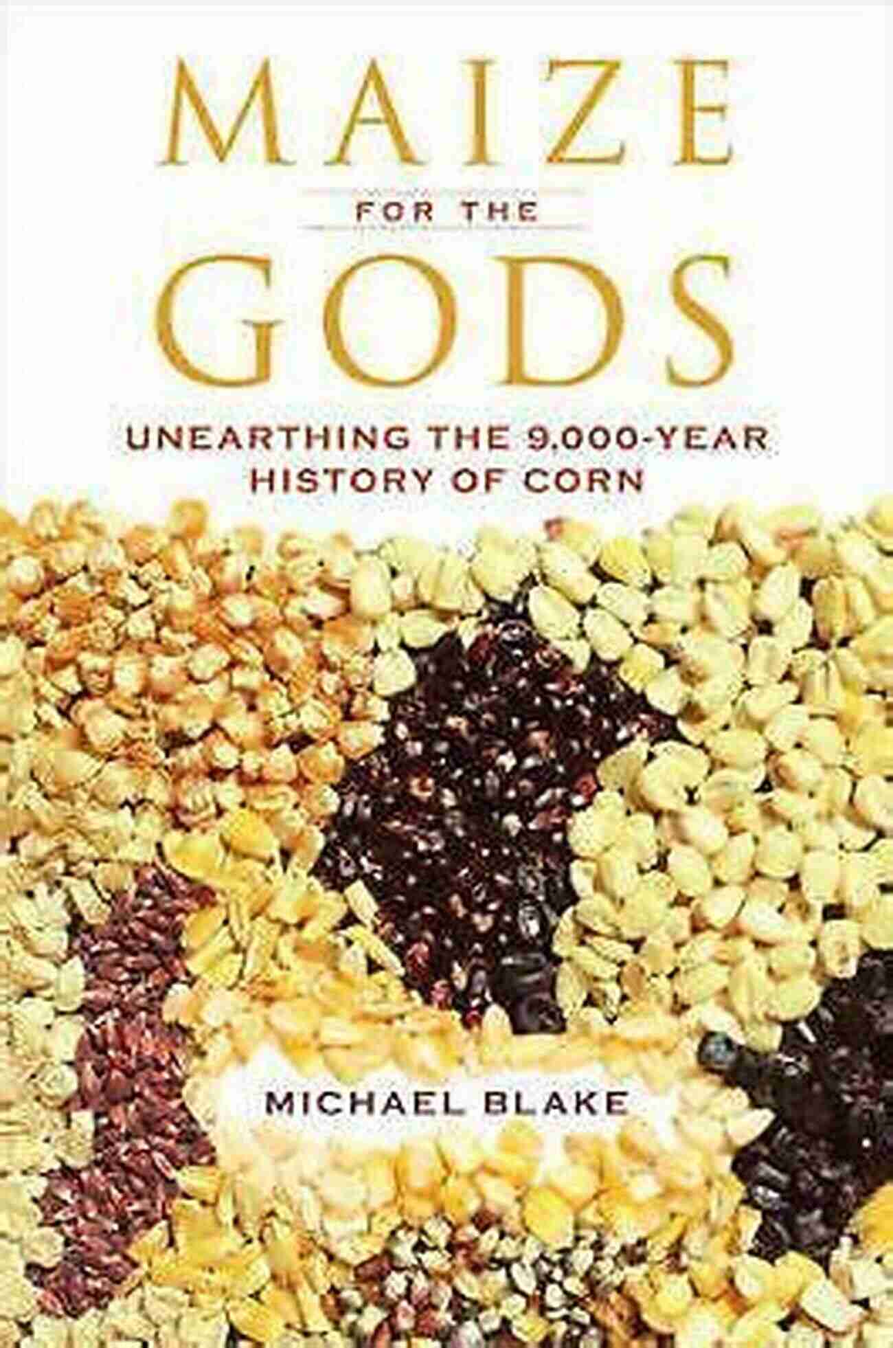 African Maize Harvest Maize For The Gods: Unearthing The 9 000 Year History Of Corn