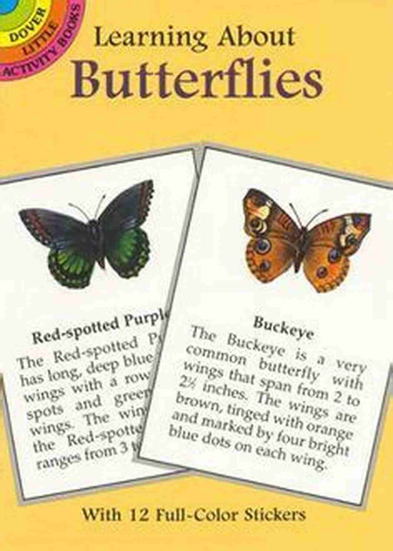 Author Expert Butterfly Enthusiast Le Petit Guide Des Papillons