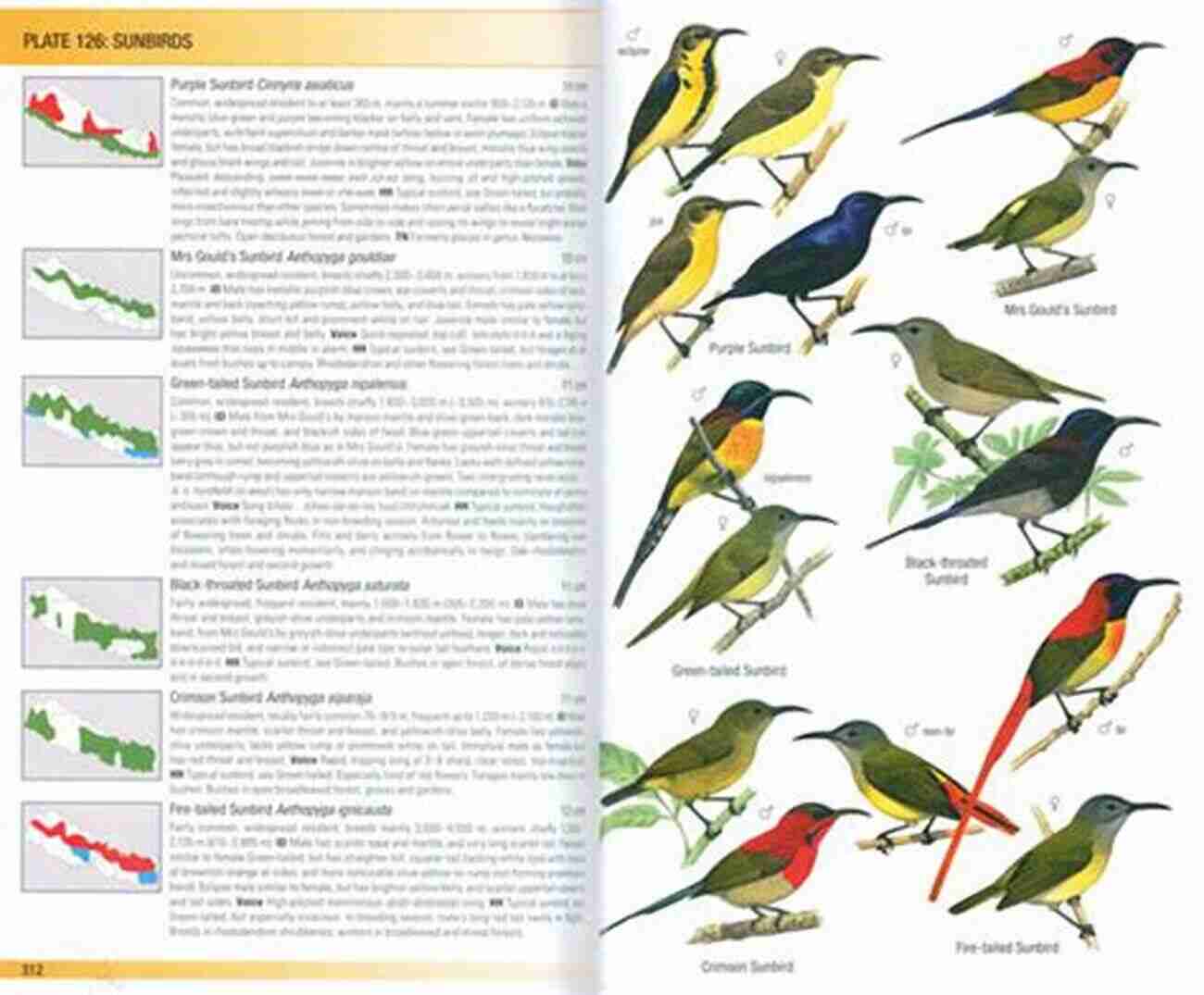 Birds Of Nepal Cover Birds Of Nepal: Second Edition (Helm Field Guides)