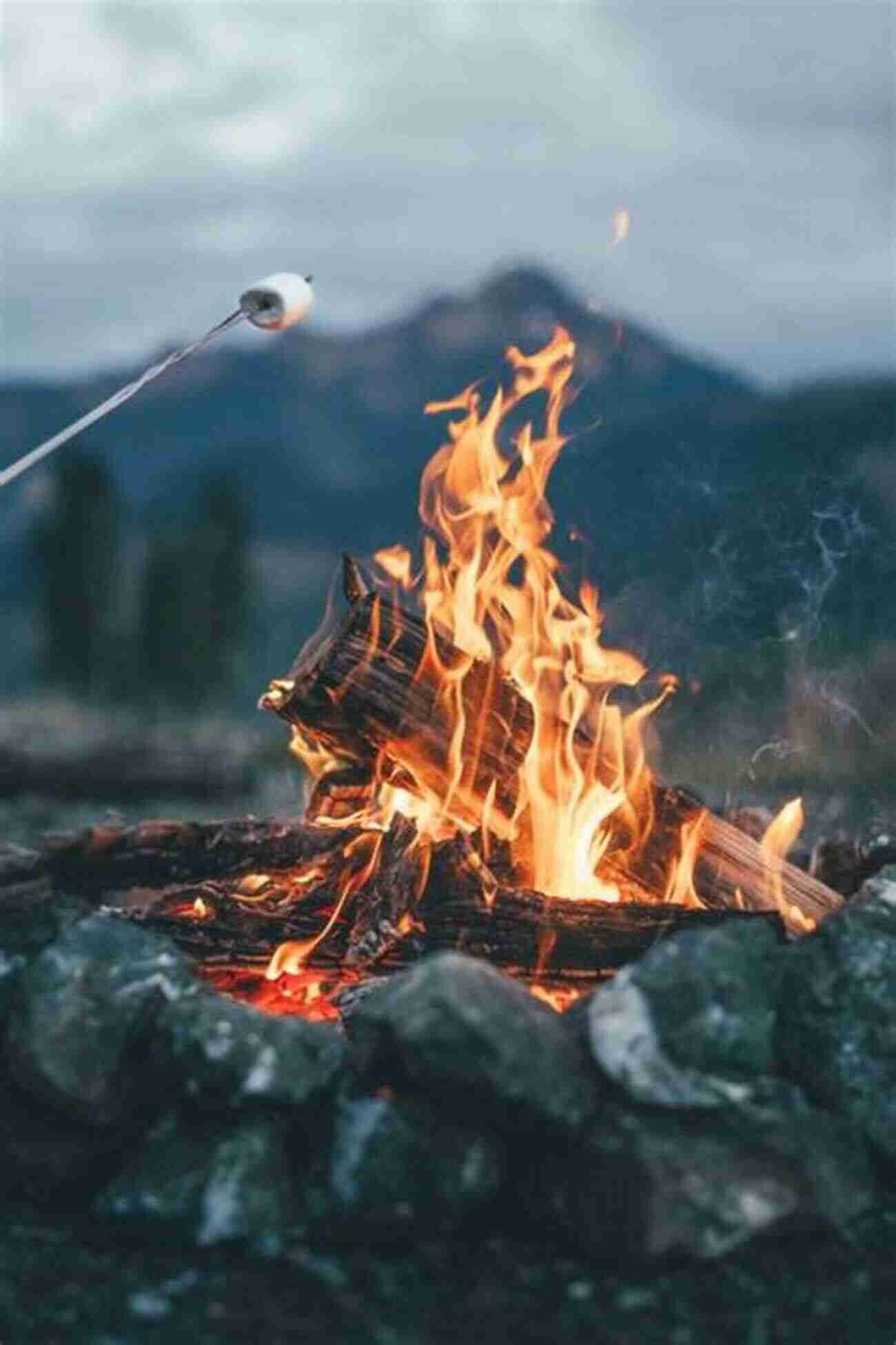 Camping And Bonfire Connect With Nature 20 Things To Do In Manali (20 Things (Discover India) 9)