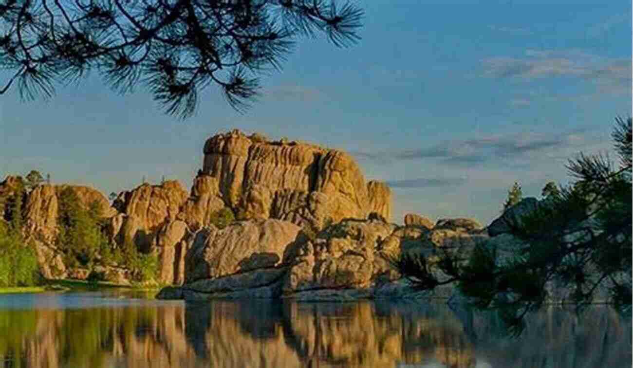 Capture The Captivating Beauty Of Custer State Park's Wildlife For Lifelong Memories Custer State Park (Images Of America)