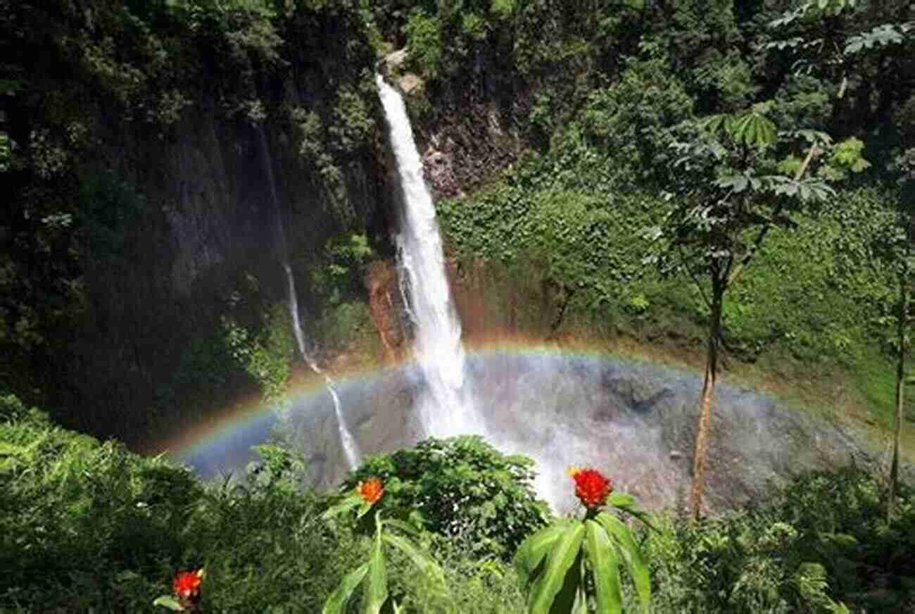 Cataratas De Moisés Hidden Waterfalls Surrounded By Vibrant Flora And Fauna My Favorite Places In Venezuela: Waterfalls