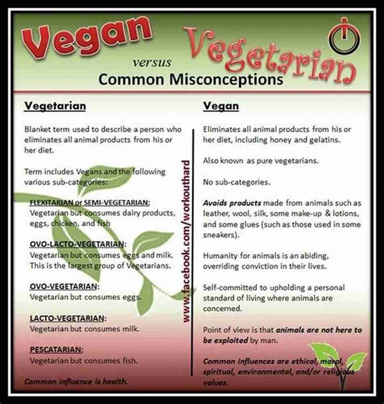 Common Health Misconceptions About Vegetarianism Vegetarianism (Issues That Concern You)