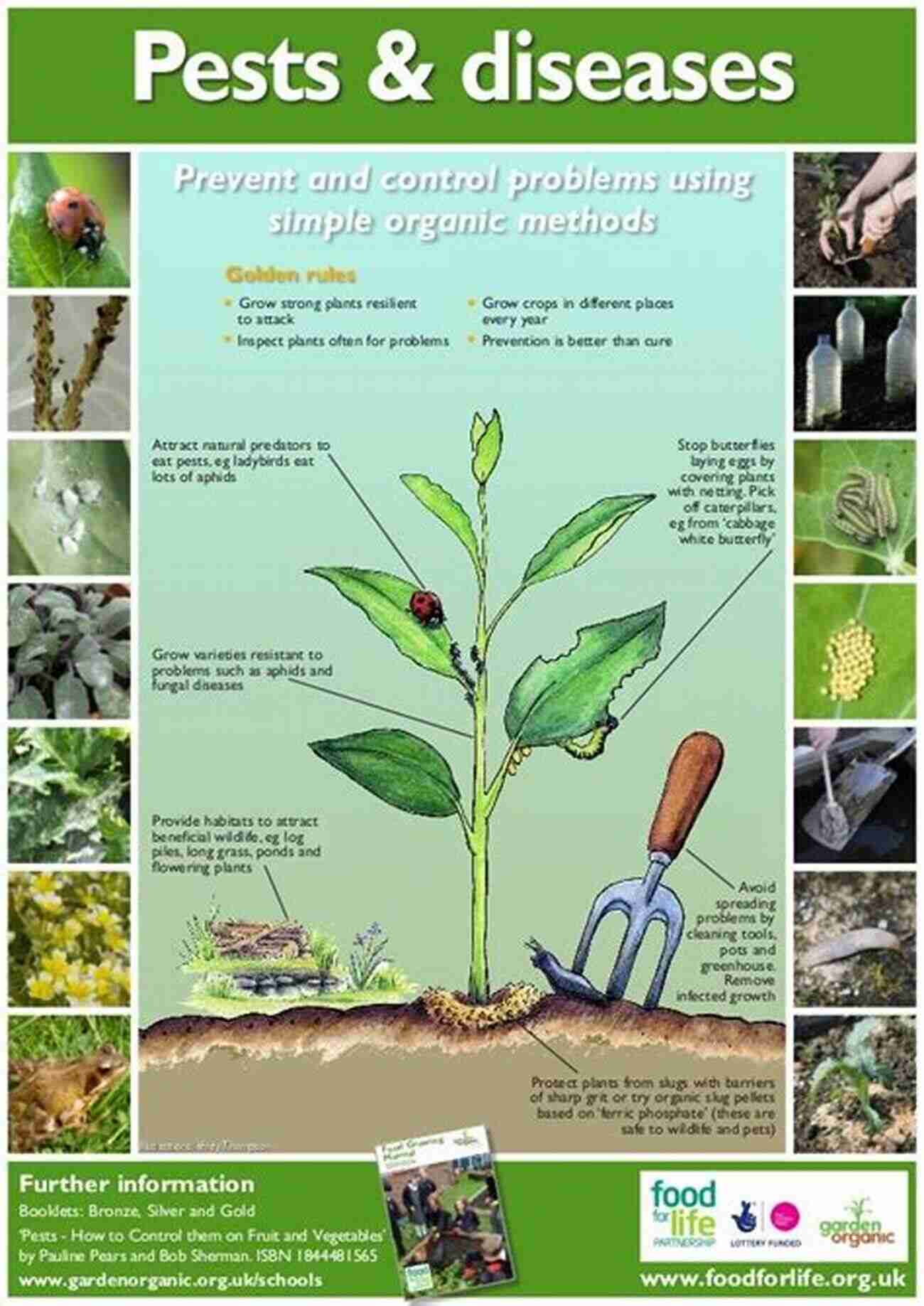 Companion Planting Chart Lexicon Of Plant Pests And Diseases