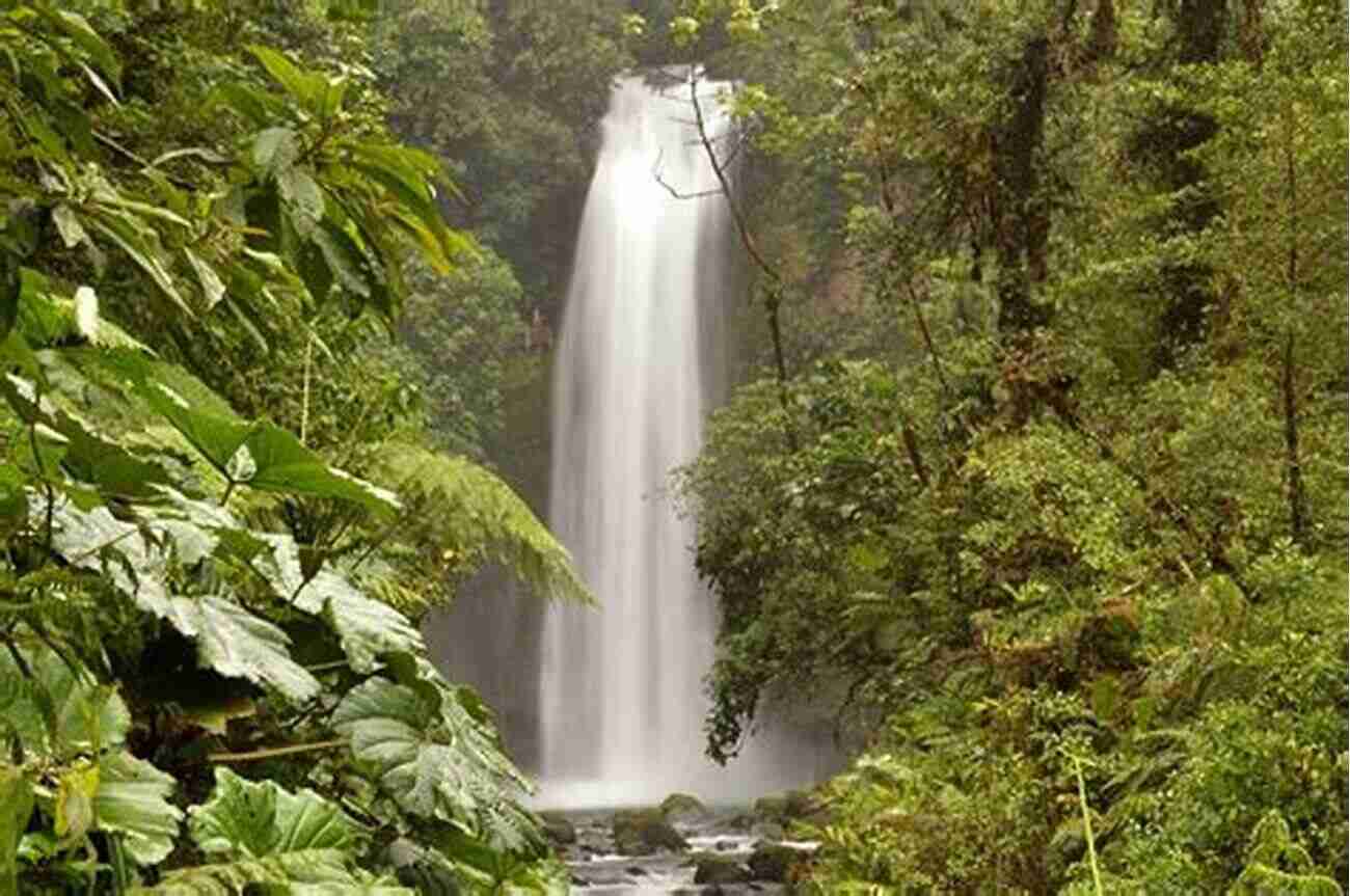 Connect With Nature In Costa Rica Everywhere You Want To Be