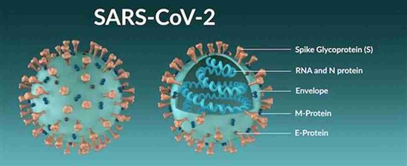 Coronavirus Omicron Variant A New Threat To Humanity Coronavirus Omicron Variant The New Disease Of 2022: Part L