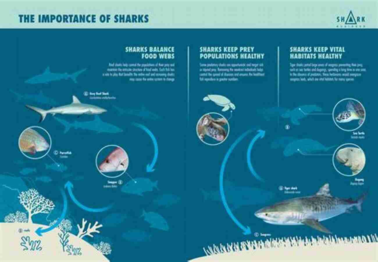 Crabs: Vital Players In A Balanced Marine Ecosystem Walking Sideways: The Remarkable World Of Crabs