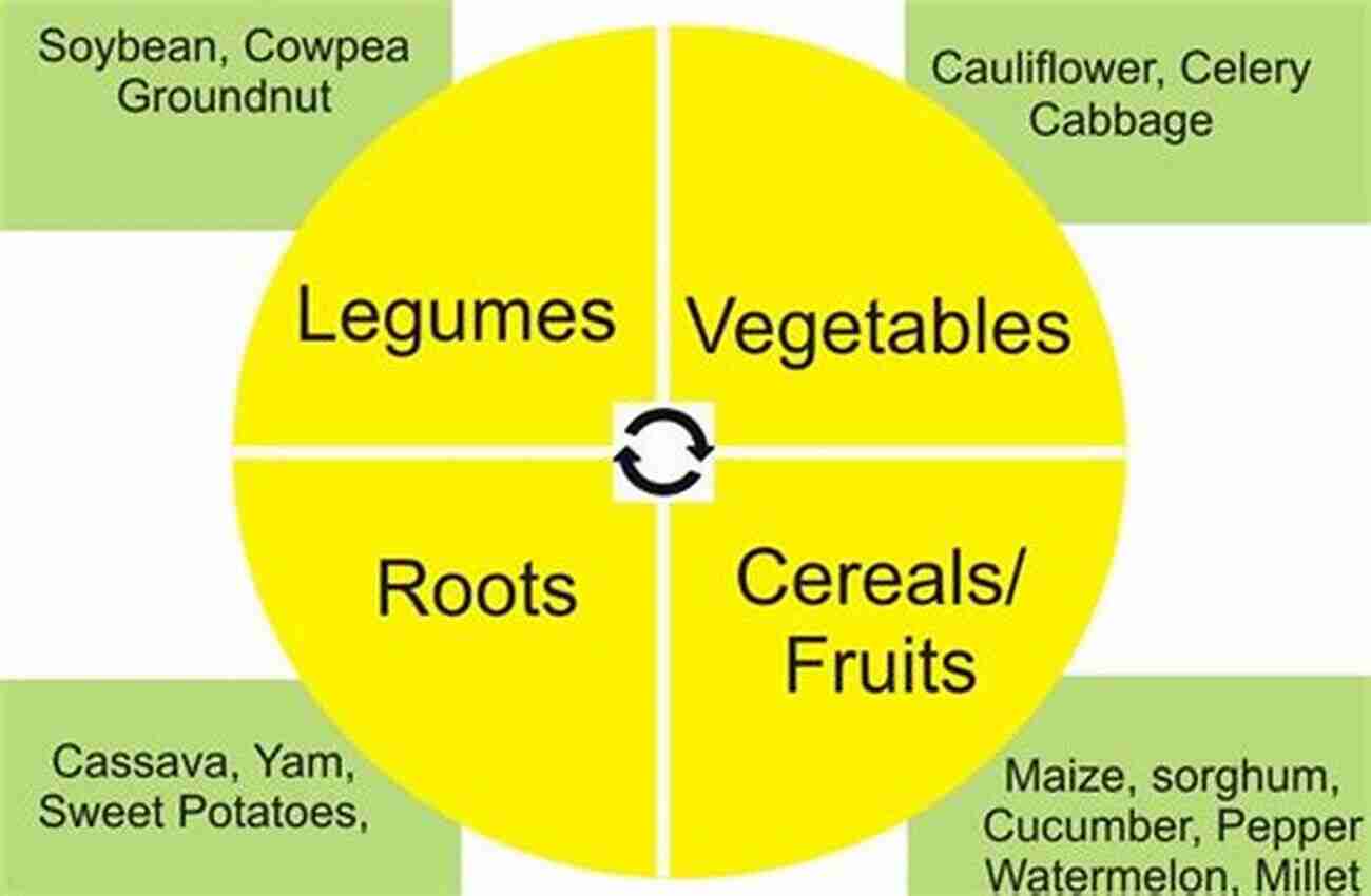 Crop Rotation Diagram Lexicon Of Plant Pests And Diseases