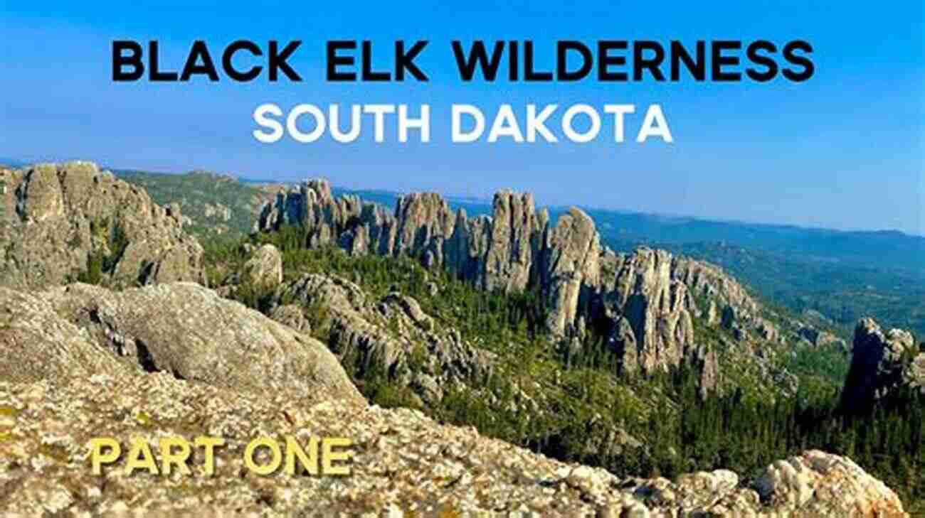 Custer State Park Discover The Captivating Beauty Of South Dakota's Black Hills Wilderness Custer State Park (Images Of America)