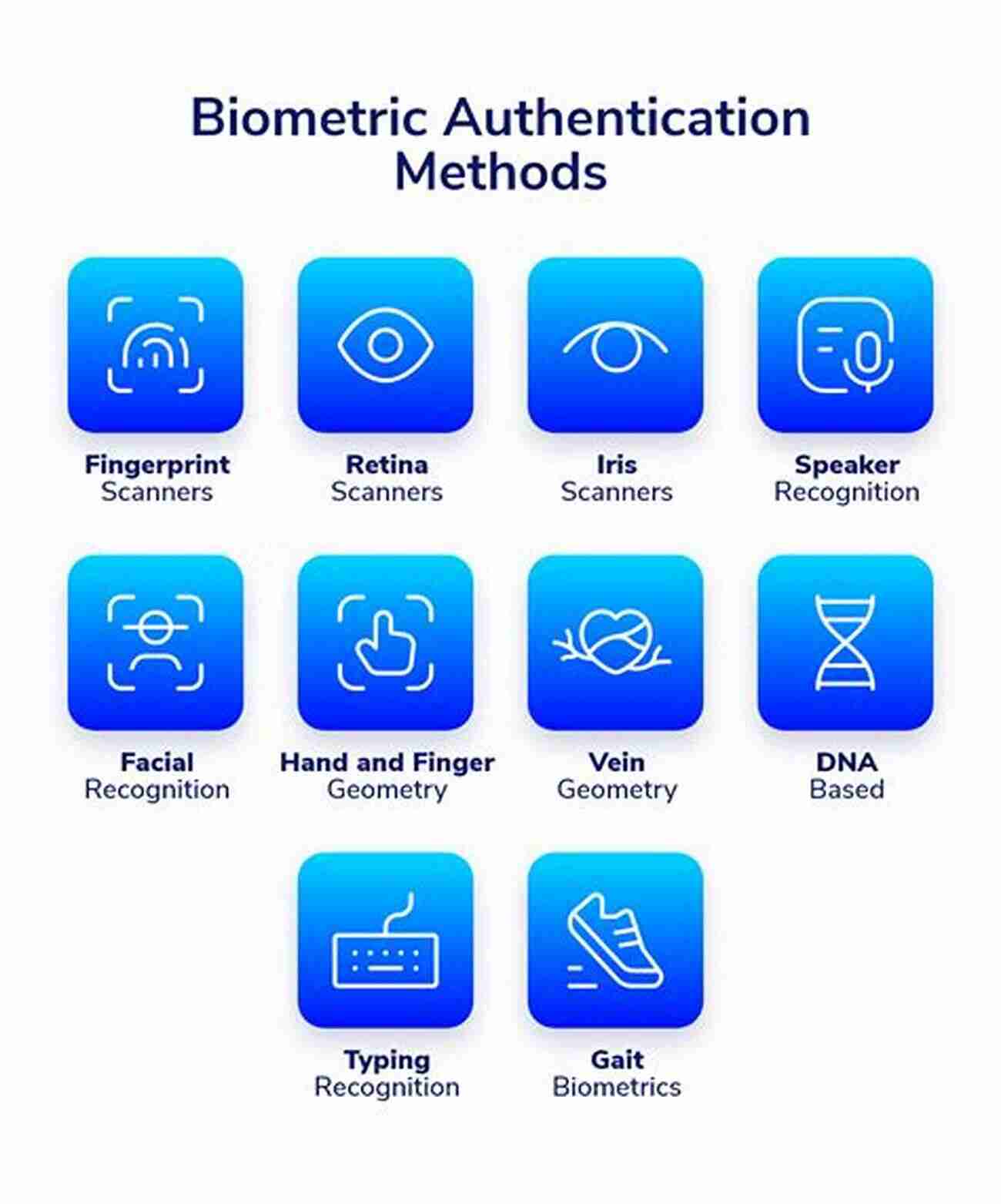 Data Envelopment Analysis Computational Methods In Biometric Authentication: Statistical Methods For Performance Evaluation (Information Science And Statistics)