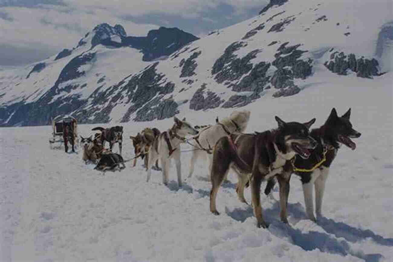 Dog Sledding In Alaska Alaska: Saga Of A Bold Land