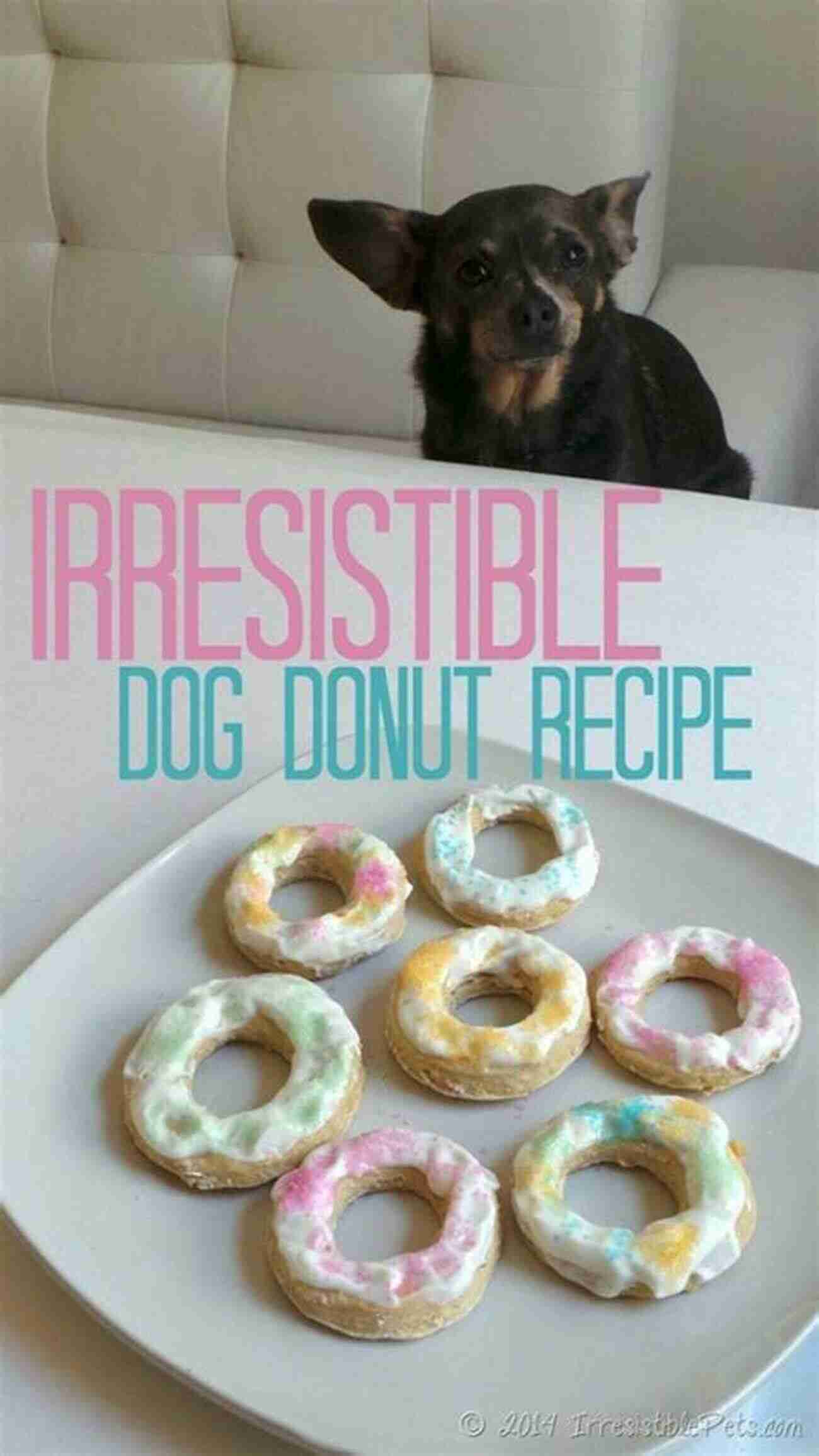 Doggy Donuts Irresistible Donuts For Dogs Pet Food: 16 Dessert Recipes To Make You Smile