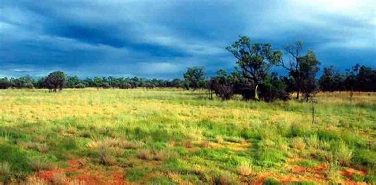 Ethiopian Landscape: Majestic Mountains And Vast Savannahs The Amazing South Omo Valley: Ethiopia S Land Of Warriors Hunters And Nomads