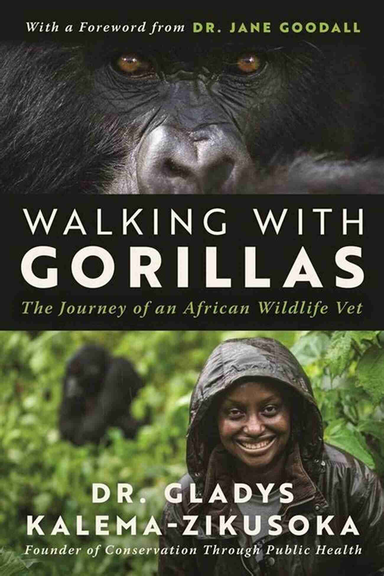 Experience The Thrill Of Walking With Gorillas In The Wild With Walter Borneman Walking With Gorillas Walter R Borneman