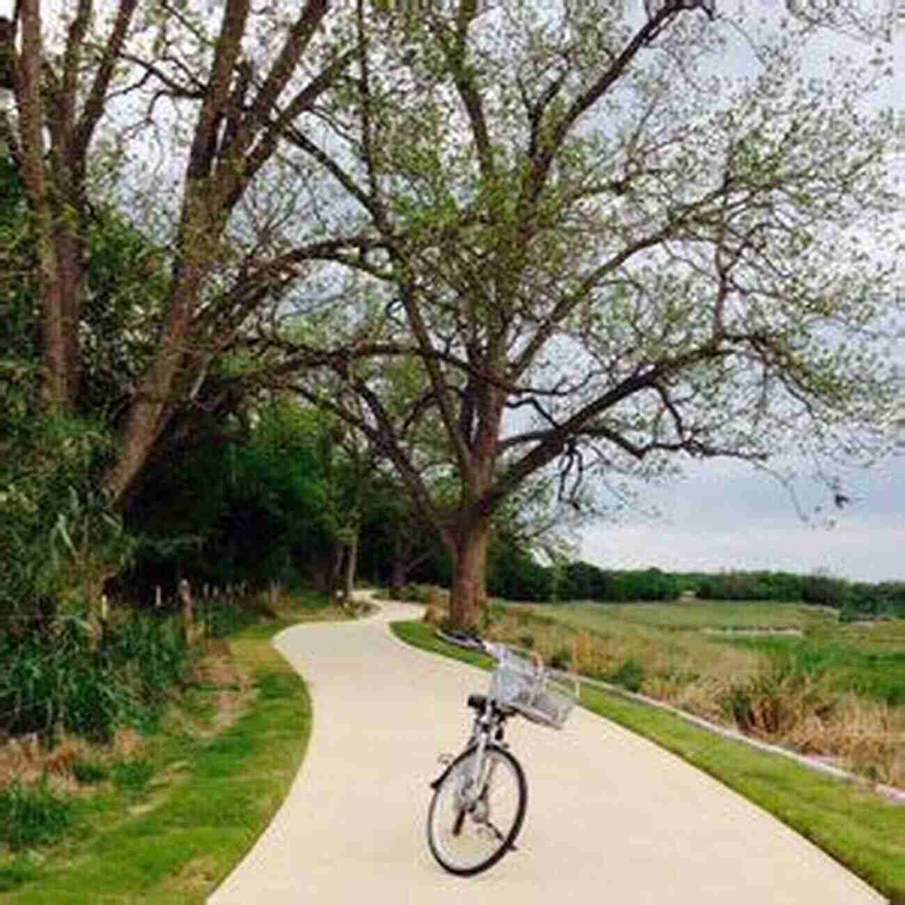 Explore Texas On A Bicycle Bicycle Texas (Texas Pocket Guides)