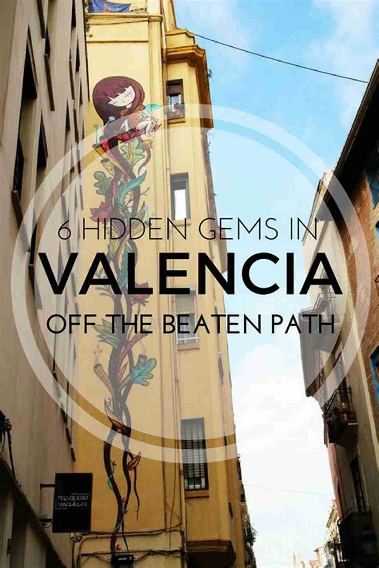 Explore The Breathtaking Landscapes Of Valencia With This Travel Guide Lonely Planet Pocket Valencia (Travel Guide)