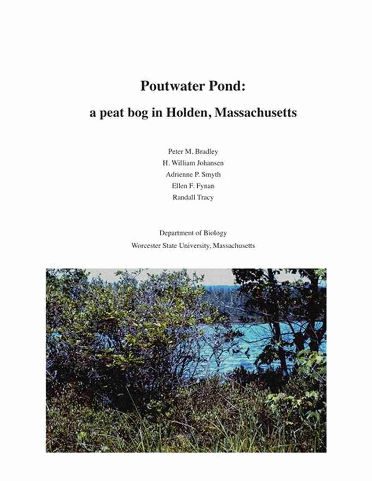 Explore The Captivating Landscapes Of Poutwater Pond Peat Bog In Holden, Massachusetts Poutwater Pond: A Peat Bog In Holden Massachusetts