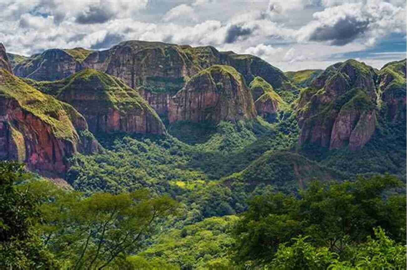 Explore The Thriving Ecosystem Of Amboro National Park Nature Travel Guide: Wildlife Of Amboro National Park Bolivia (Nature Travel Guide Series)