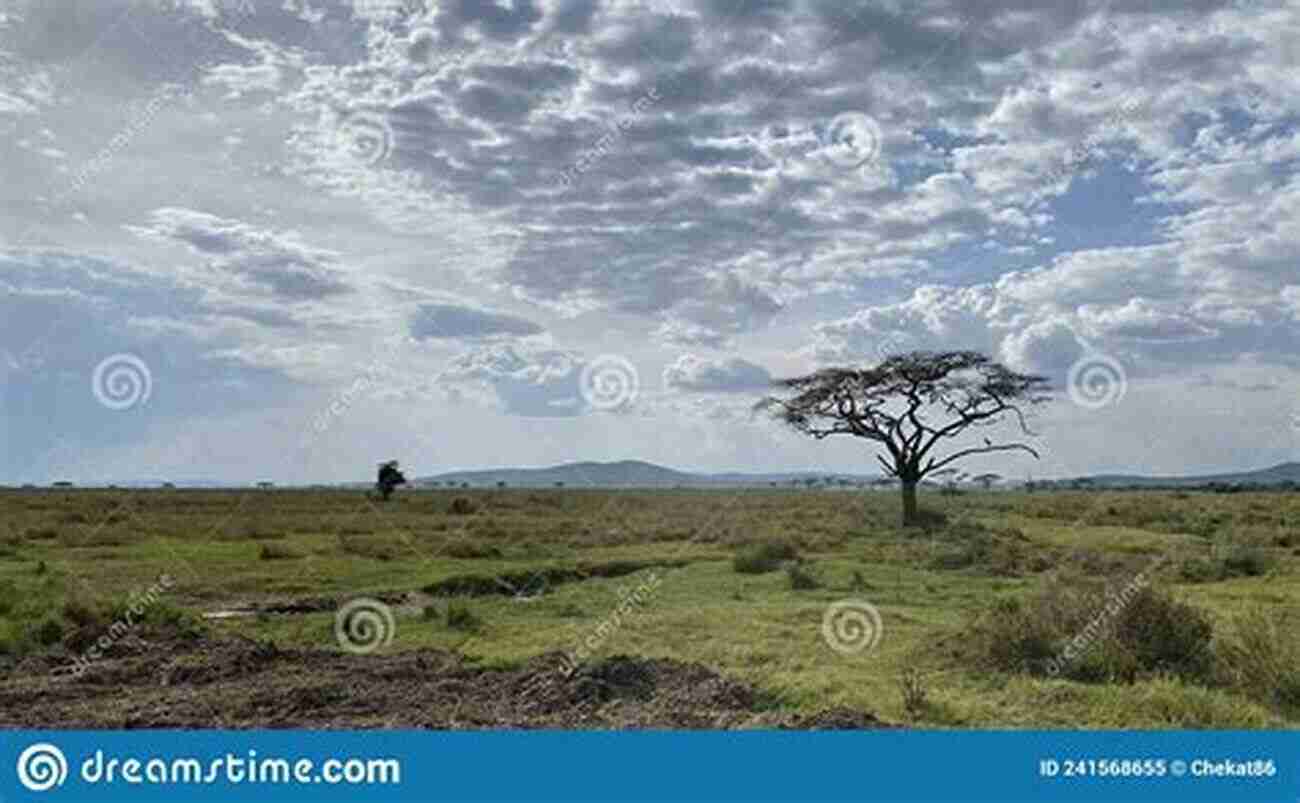 Exploring The Vast And Beautiful Landscapes Of Africa Africa Overland: The Journey Home