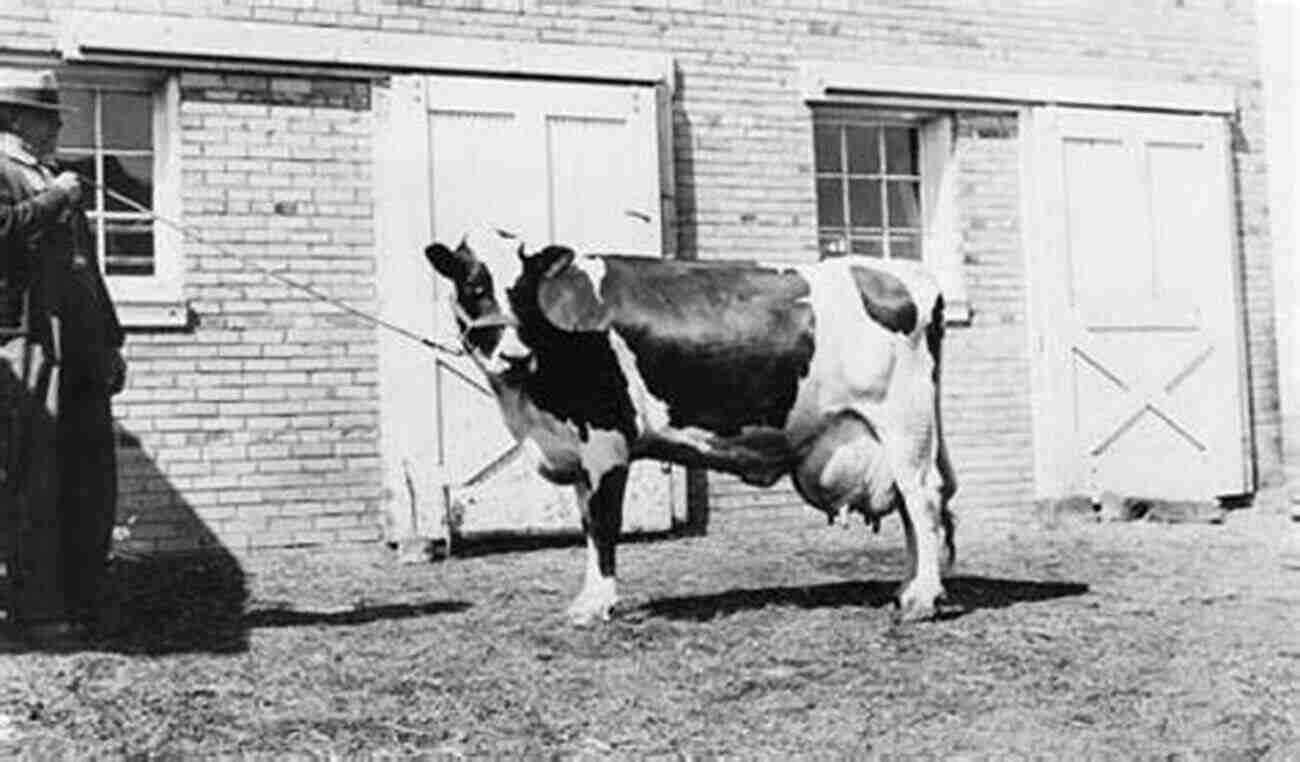 Fay Ward Herding Cattle The Cowboy At Work Fay E Ward