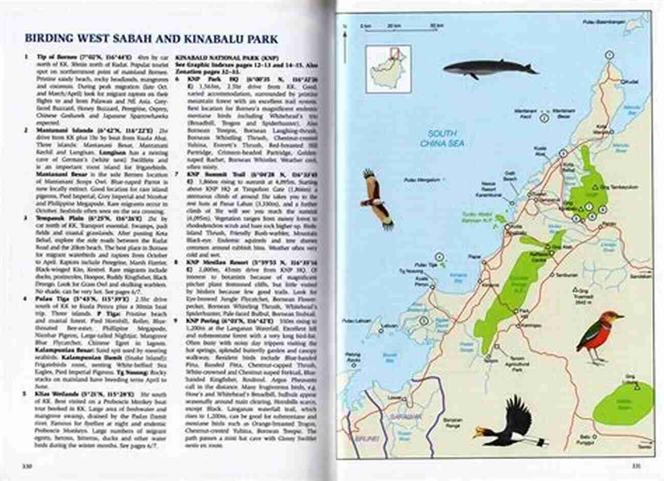 Field Guide To Birding Locations Finding Australian Birds: A Field Guide To Birding Locations