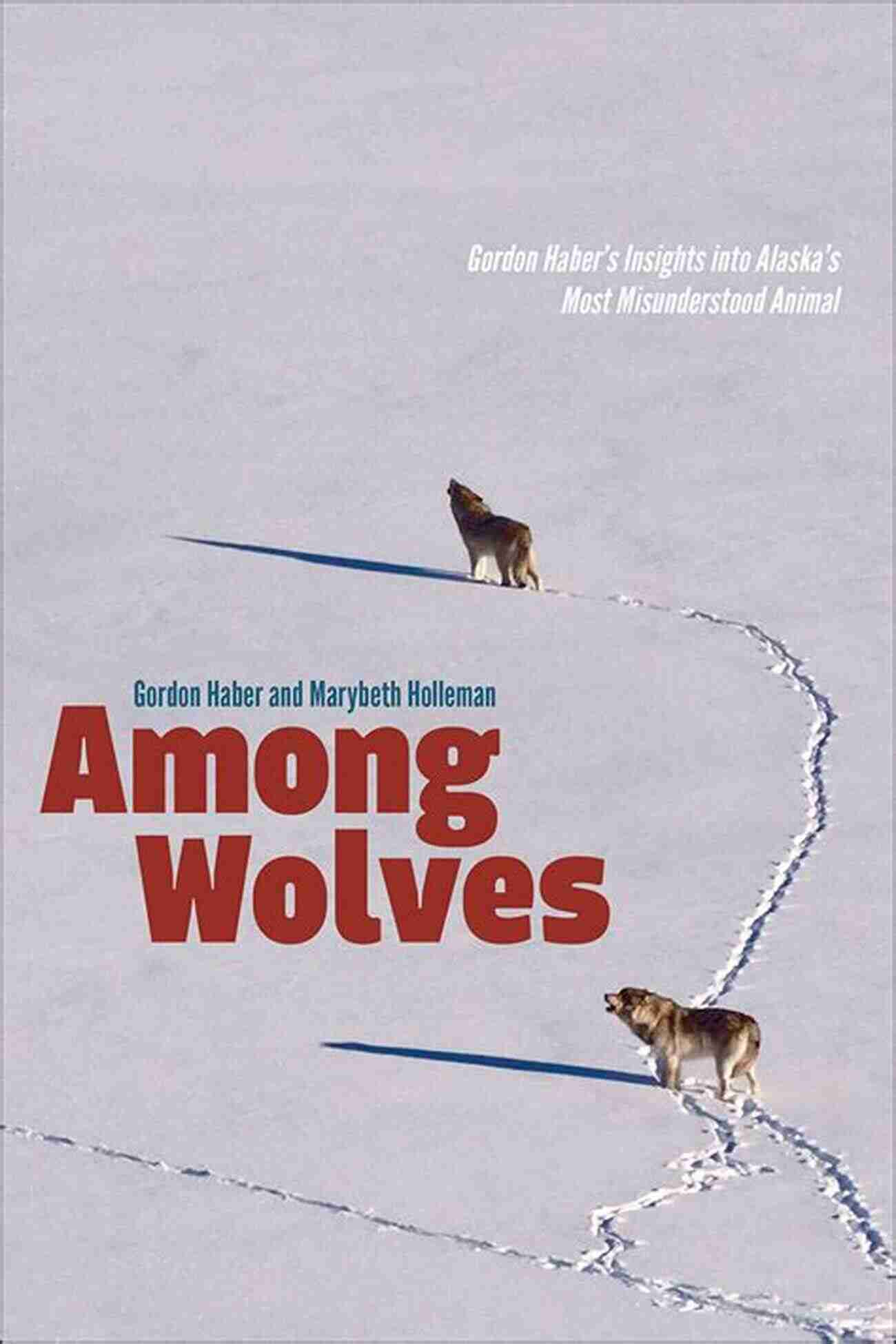 Gordon Haber Studying The Elusive Alaska Wolf In Its Natural Habitat Among Wolves: Gordon Haber S Insights Into Alaska S Most Misunderstood Animal