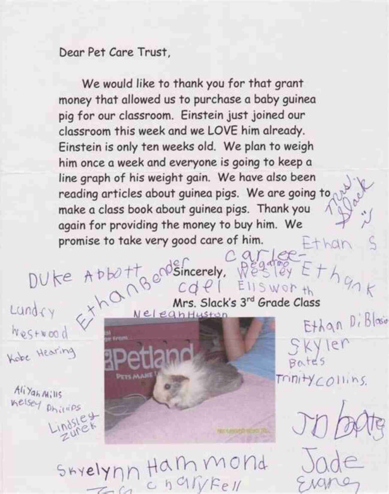 Happy Pet A Letter To Your Pet: Sharing What You Wanted Your Pet To Know