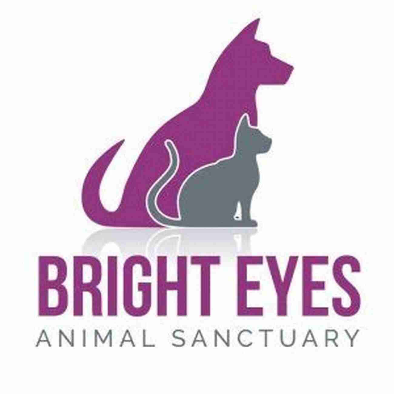 Happy Dog With Bright Eyes At XYZ Animal Sanctuary What The Animals Taught Me: Stories Of Love And Healing From An Animal Santuary