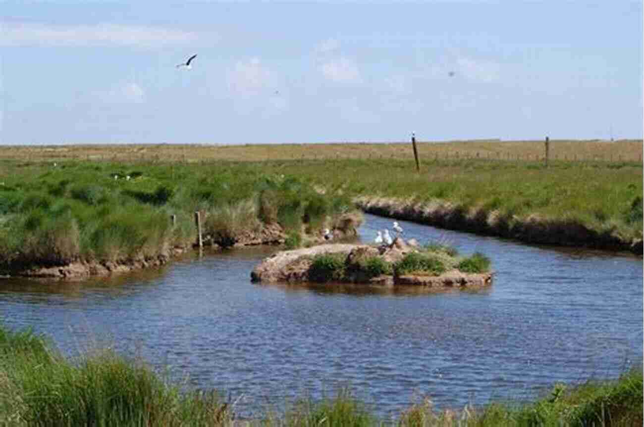 Hidden Wildlife Trails Wind Through The Grassy Areas Of Orford Ness, Offering A Chance To Encounter Captivating Wildlife. Orford Ness 30 Indicative Photographs