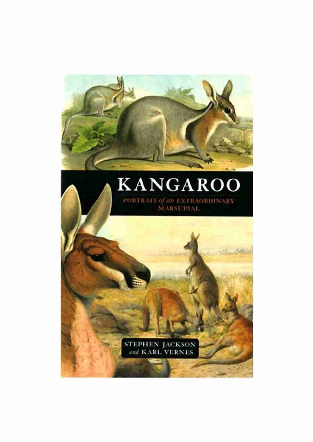 Kangaroo Portrait Of An Extraordinary Marsupial Kangaroo: Portrait Of An Extraordinary Marsupial