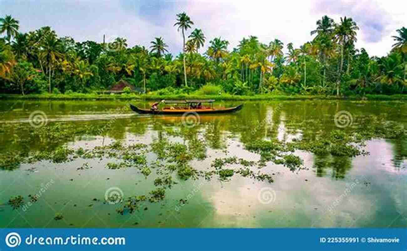 Kerala Backwaters During Monsoon Monsoon Diaries: An African In India