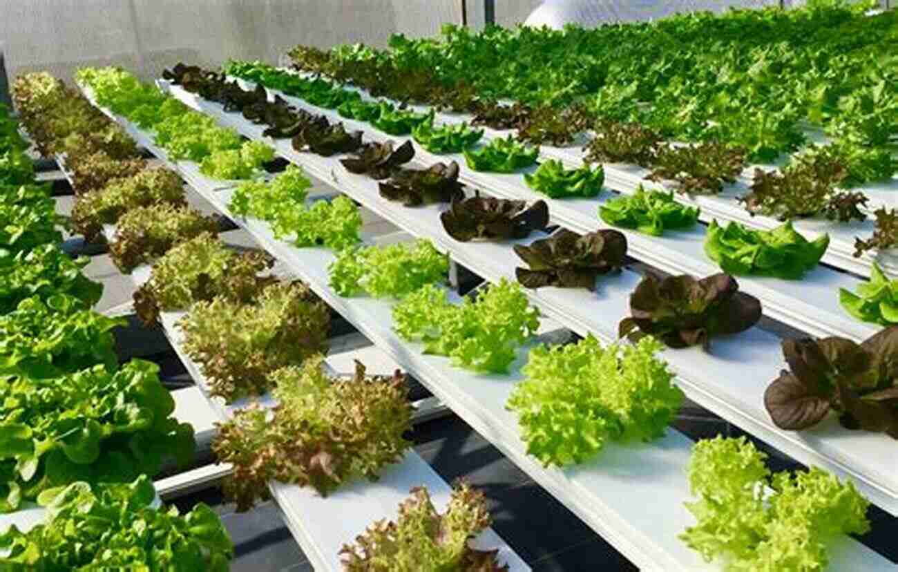 Learn How To Cultivate Plants Without Soil And Combine It With Fish Farming! Hydroponics And Aquaponics For Beginners: 2 In 1 The Complete Home Gardening And Fish Farming Guide To Grow Vegetables Herbs And Fruits At Home Without Soil (Super Simple Gardening Guides)