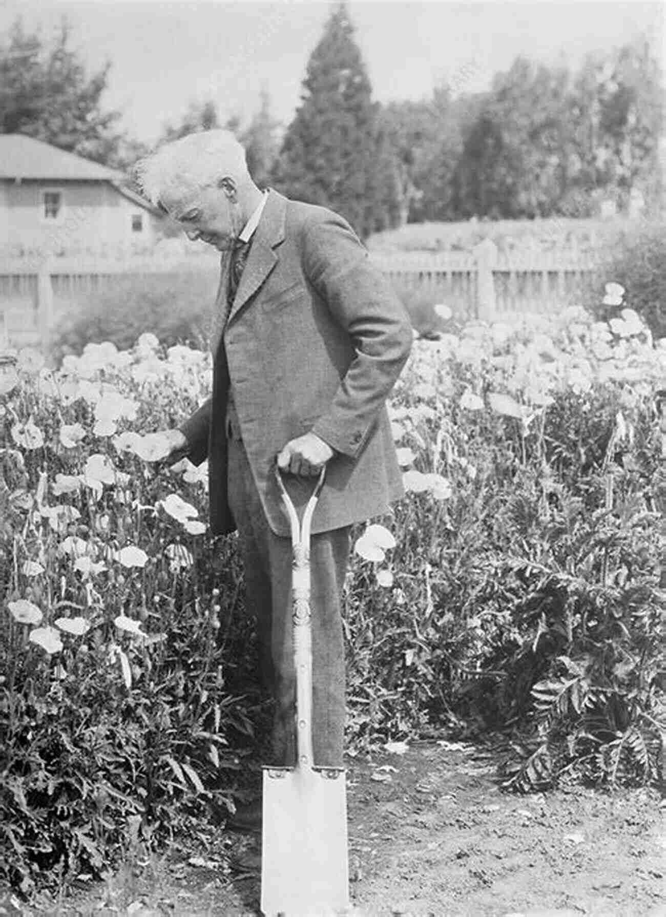 Luther Burbank Plant Breeder Horticulturist Luther Burbank: Plant Breeder Horticulturist American Hero