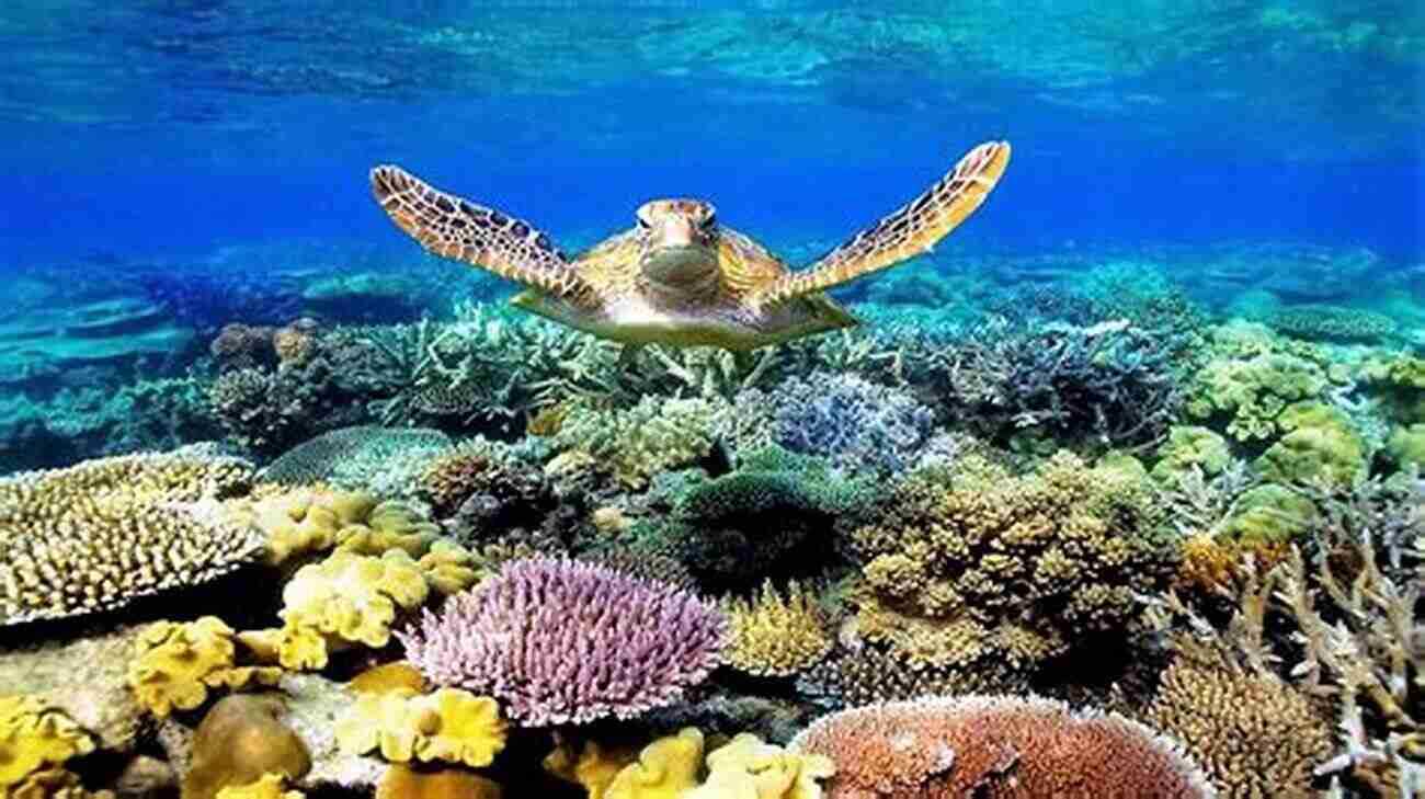 Majestic Beauty Of The Great Barrier Reef, Australia Unforgettable Belgium: Sixth In A Of Photos From Thirty Years Of World Travel (Photos From Thirty Years World Travel)