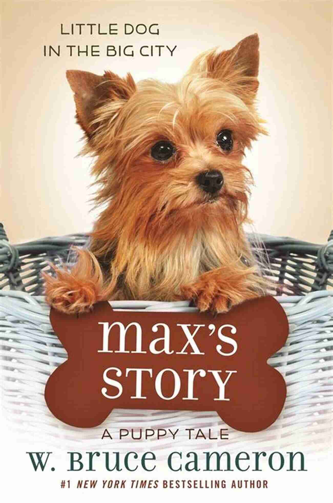 Max's Story Goes Viral A Night At The Animal Shelter: A Unique Dog Story