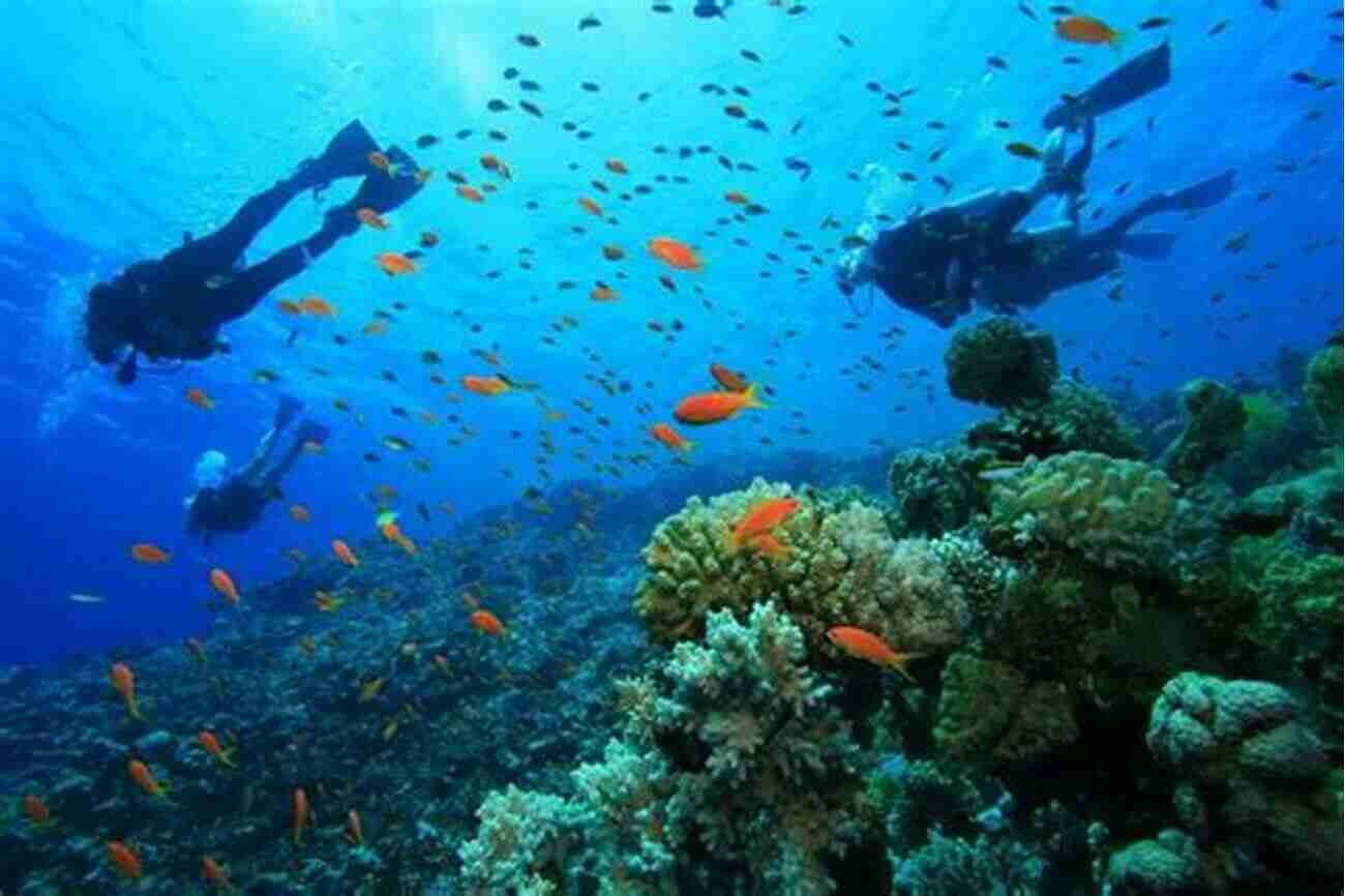 Mombasa Marine National Park, A Protected Area Offering Breathtaking Underwater Scenery With A Wide Variety Of Coral And Marine Life Tour Coastal Kenya: Travel Guide