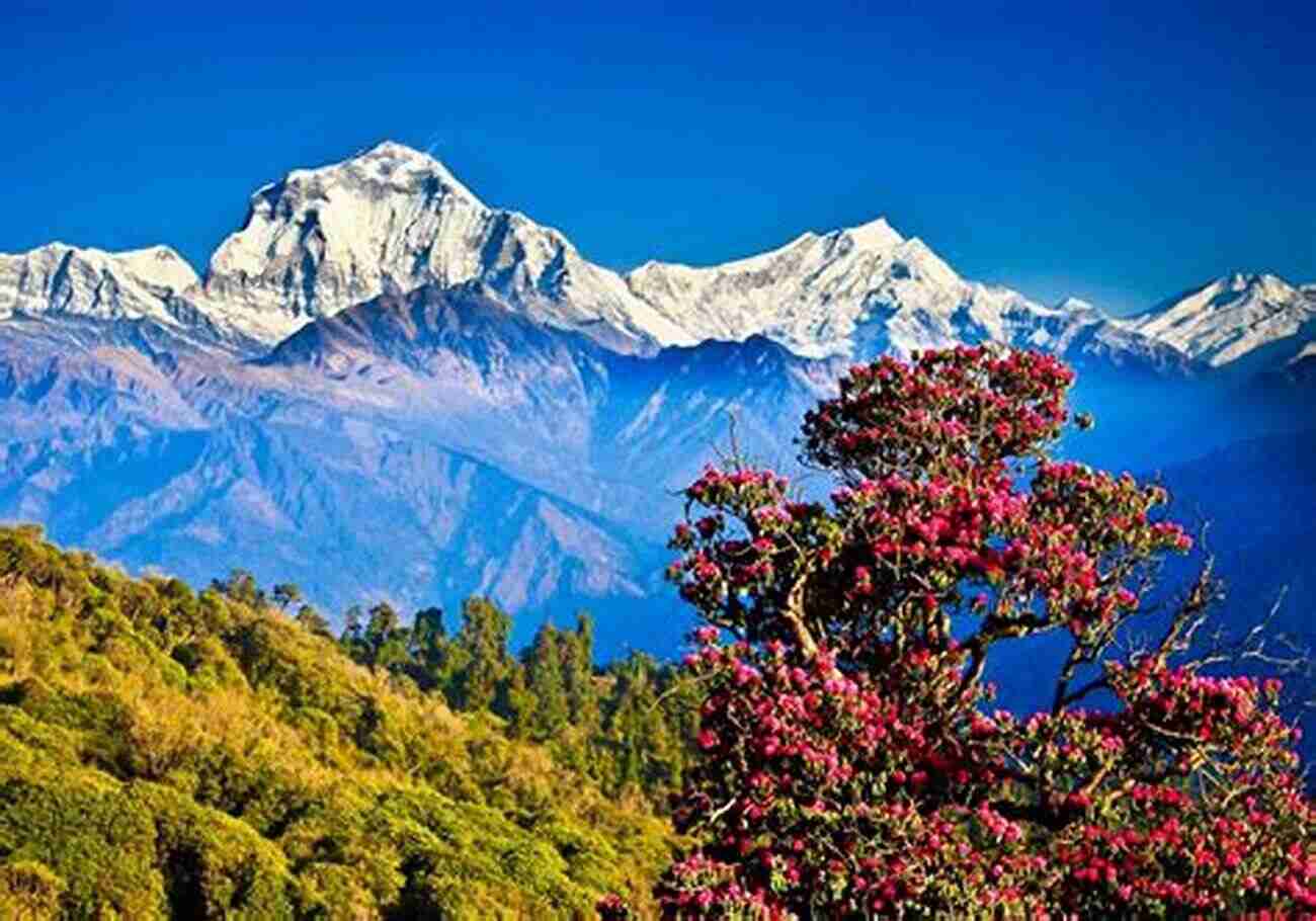 Nepal Himalayas Landscape 1 Nepal Himalaya Travel Guide: With 100 Landscape Photos