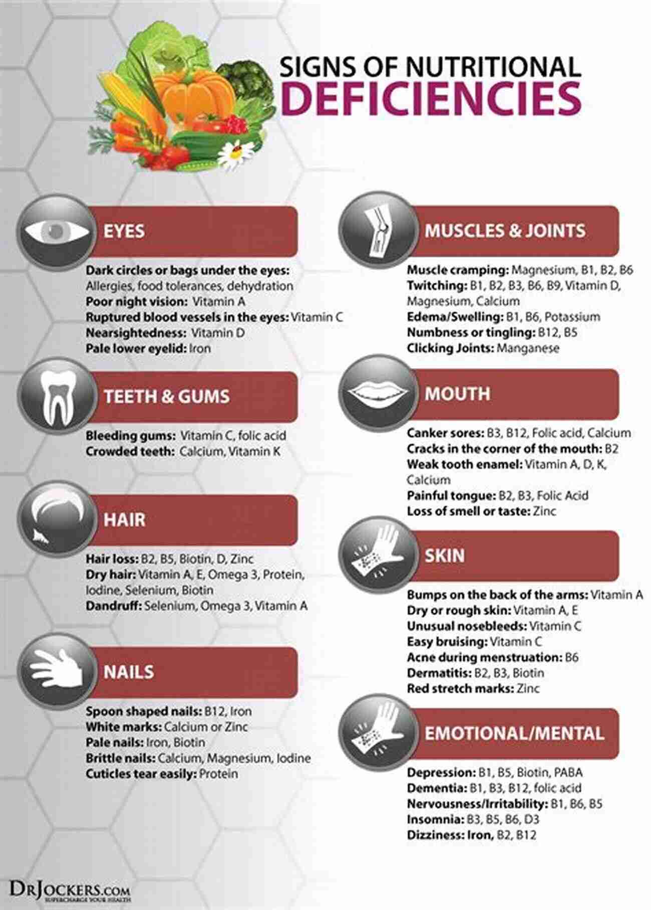 Nutritional Deficiencies In Vegetarian Diet Vegetarianism (Issues That Concern You)