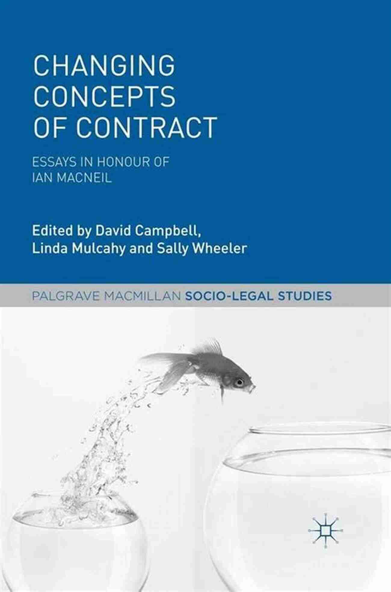 Palgrave Socio Legal Integrating Socio Legal Studies Into The Law Curriculum (Palgrave Socio Legal Studies)