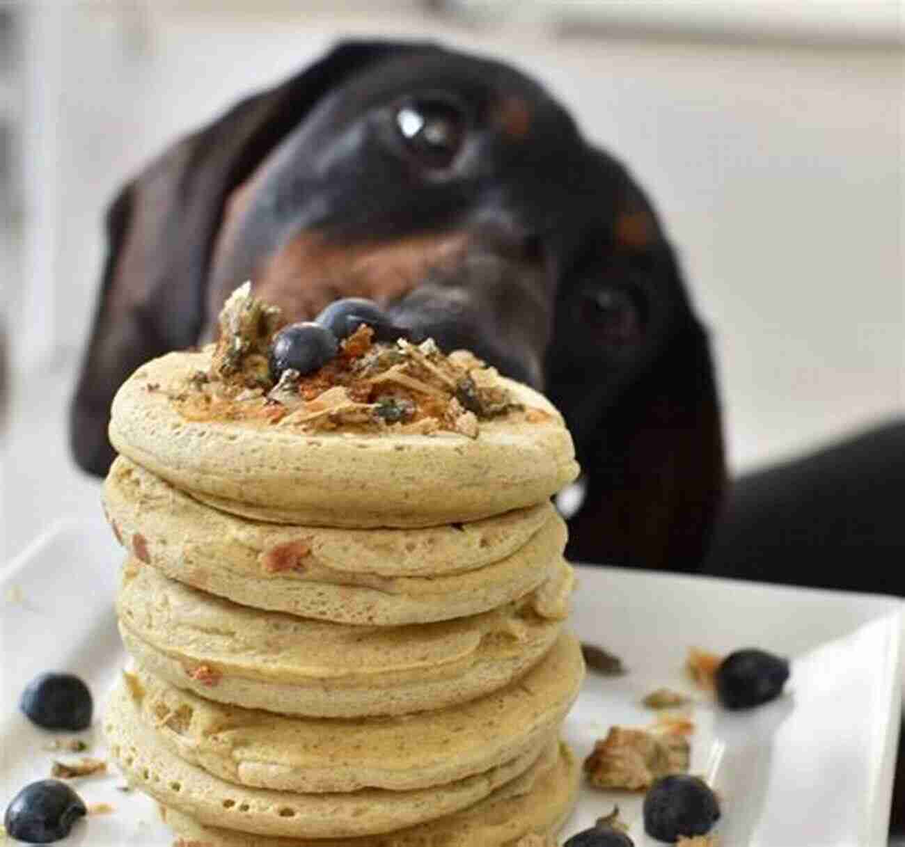 Paw Some Pancakes Delicious Pancakes For Dogs Pet Food: 16 Dessert Recipes To Make You Smile